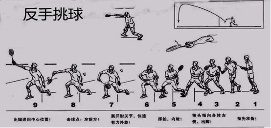 未命名-2.jpg
