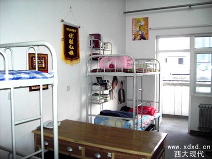 PICT0678.jpg