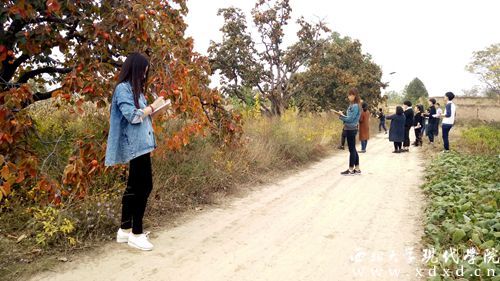 QQ圖片20161021172138_副本.jpg