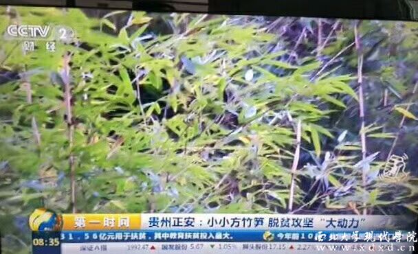 1新聞截圖.jpg